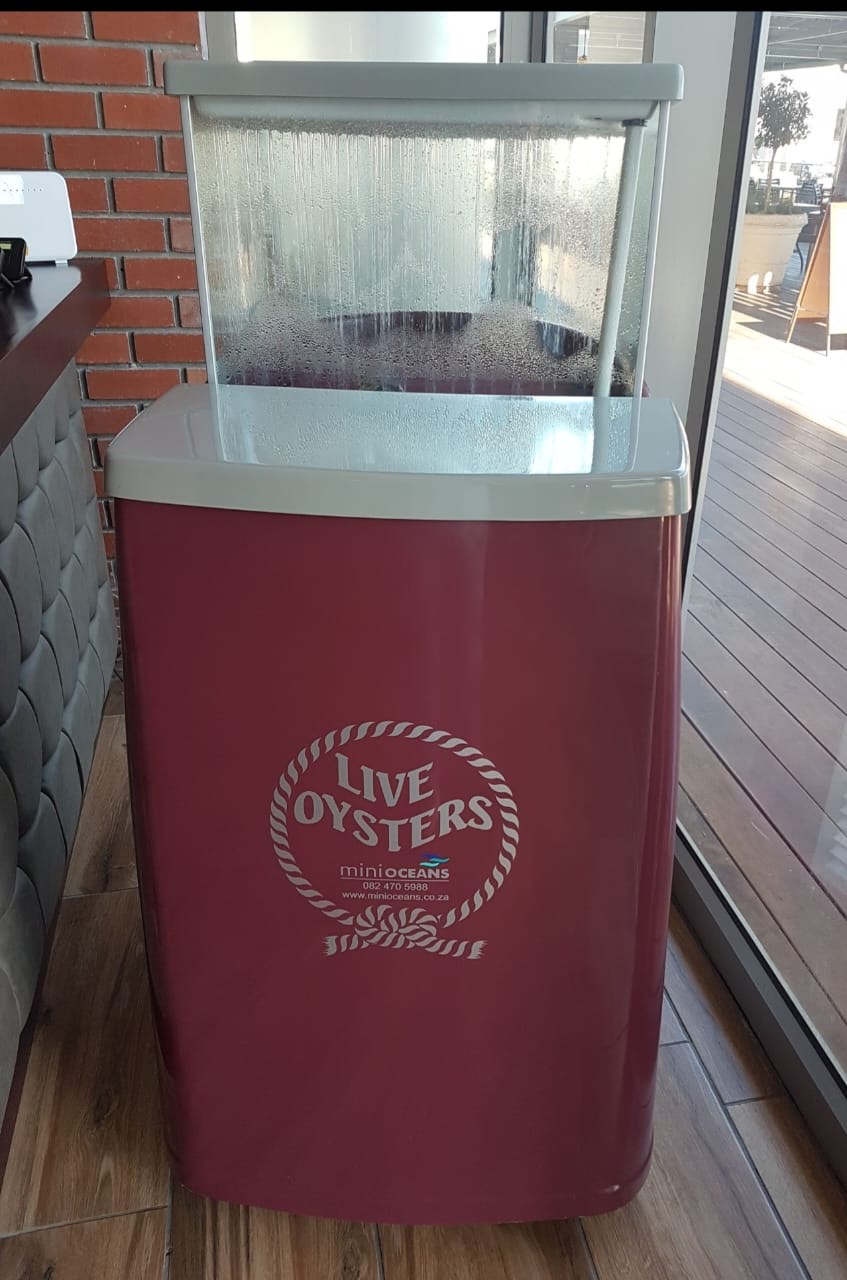 Curved Oyster Tank - Image 6