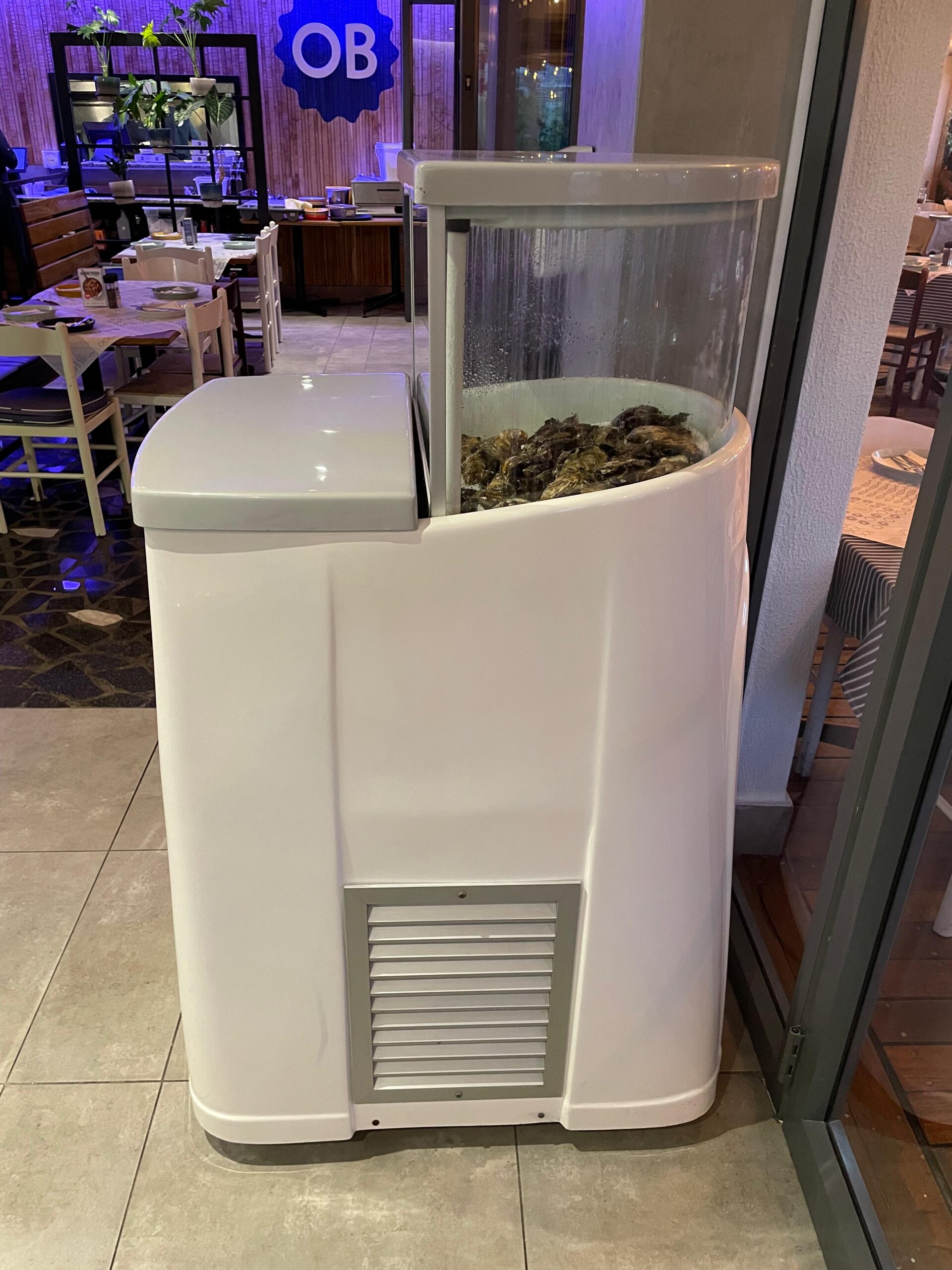 Curved Oyster Tank - Image 7